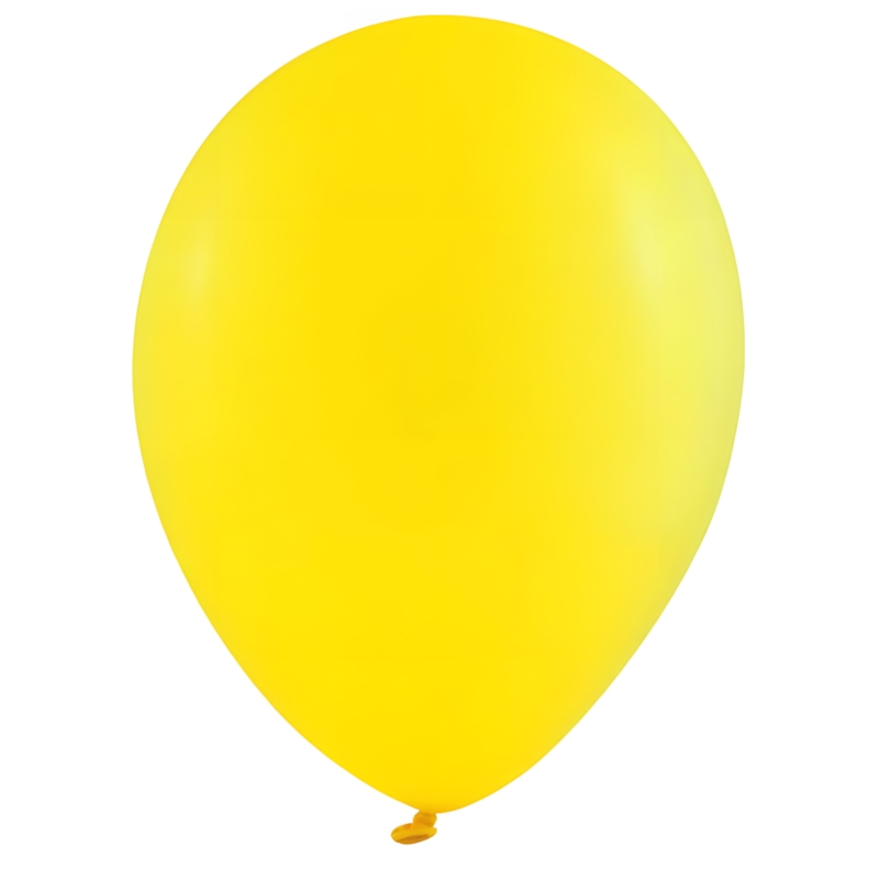 Baloane Latex Premium 102 Ivory (30 cm) (copie)